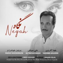 آهنگ جدید پرویز خوش ‌رزم به نام نگاه